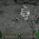 Image for article titled The Director's Commentary Is The Real Hero Of The Deadly Tower Of Monsters
